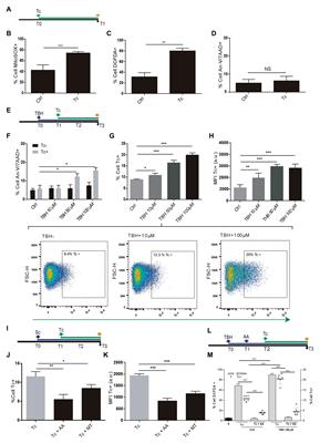 Priming Astrocytes With HIV-Induced Reactive Oxygen Species Enhances Their Trypanosoma cruzi Infection